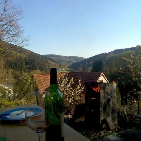 Fewo Pacohaus Naehe Willingen Diemelsee ブリーロン エクステリア 写真