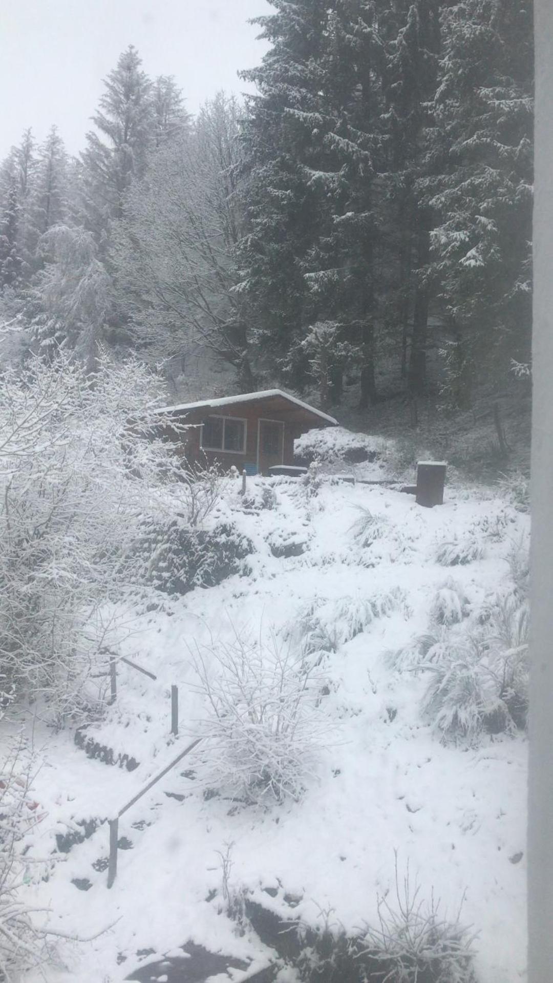 Fewo Pacohaus Naehe Willingen Diemelsee ブリーロン エクステリア 写真